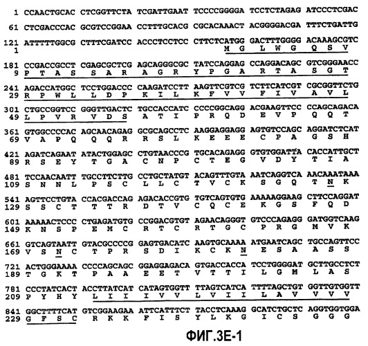 Анализы и способы с применением биомаркеров (патент 2431676)