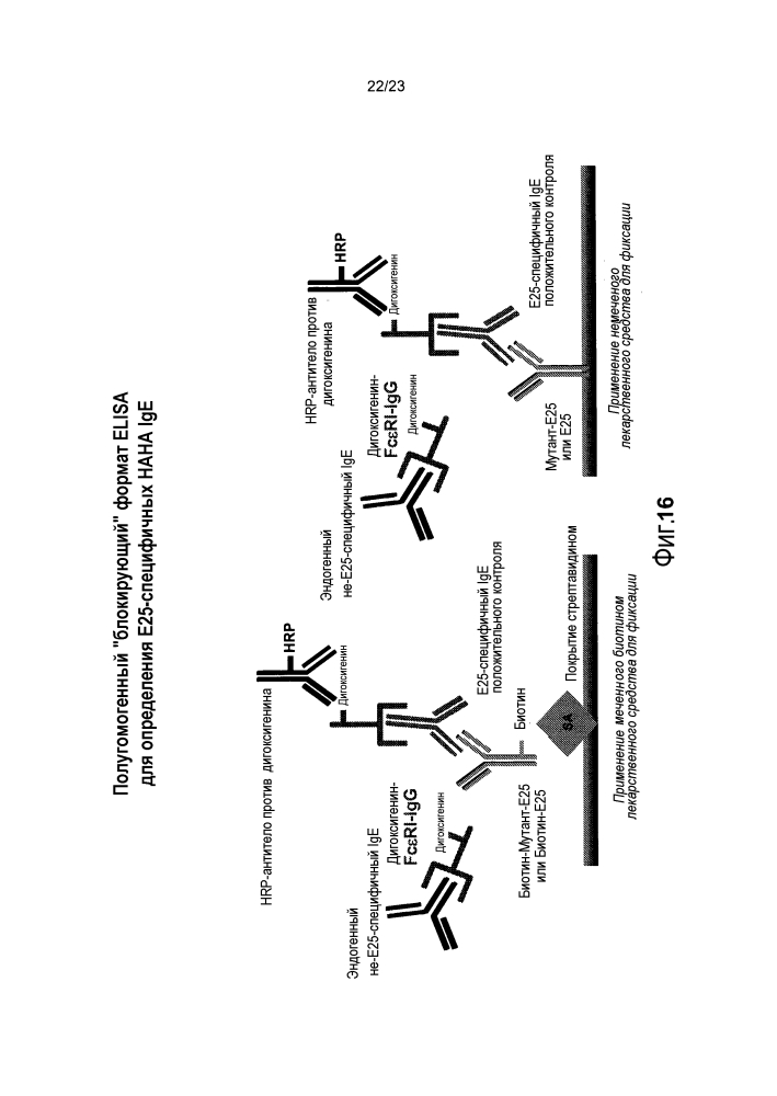 Анализы определения антител, специфичных к терапевтическим антителам против ige, и их применение при анафилаксии (патент 2642295)