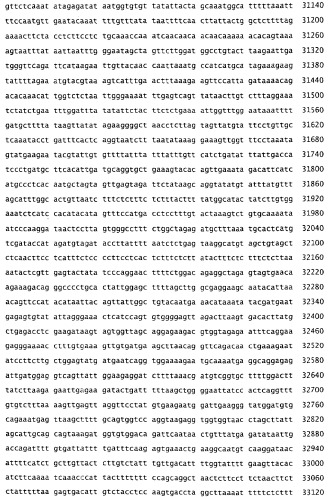 Применение s1p (патент 2362565)