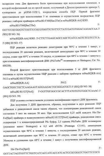 Способ получения фактора, связанного с контролем над потреблением пищи и/или массой тела, полипептид, обладающий активностью подавления потребления пищи и/или прибавления в весе, молекула нуклеиновой кислоты, кодирующая полипептид, способы и применение полипептида (патент 2418002)