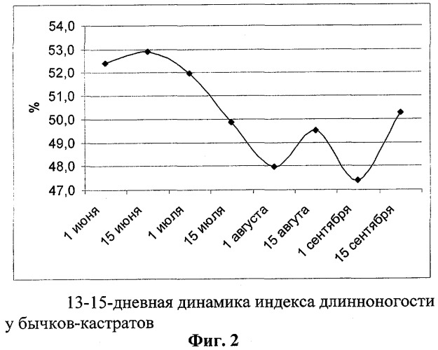 Способ прогнозирования типа телосложения у крупного рогатого скота (патент 2294100)