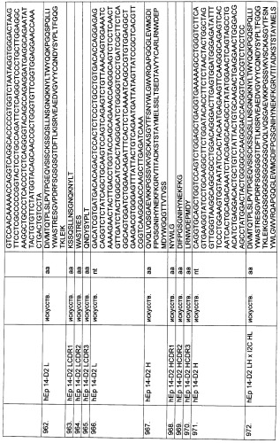 Pscaxcd3, cd19xcd3, c-metxcd3, эндосиалинxcd3, epcamxcd3, igf-1rxcd3 или fap-альфаxcd3 биспецифическое одноцепочечное антитело с межвидовой специфичностью (патент 2547600)