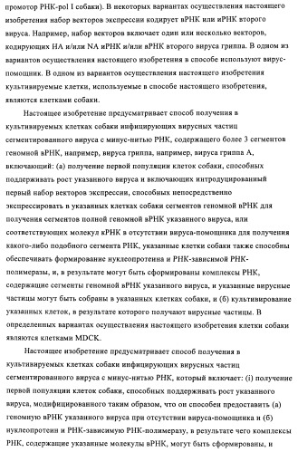 Способы и композиции для экспрессии антисмысловой вирусной рнк в клетках собаки (патент 2457250)