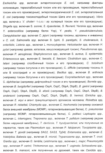 Способ усиления иммунного ответа млекопитающего на антиген (патент 2370537)