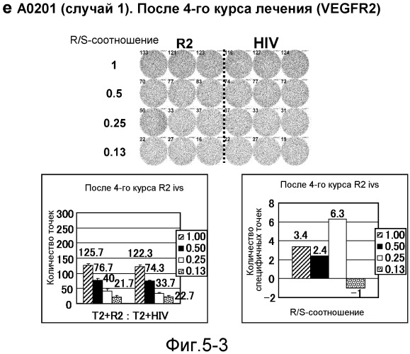 Лечение хориоидальной неоваскуляризации с помощью вакцин (патент 2555345)