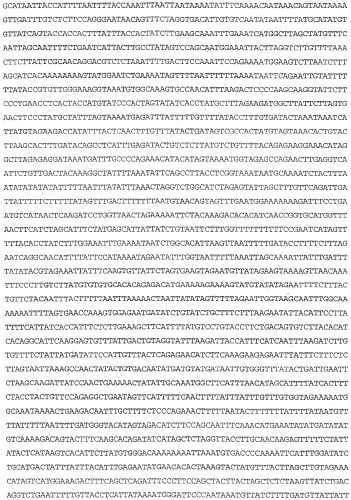 Применение s1p (патент 2362565)