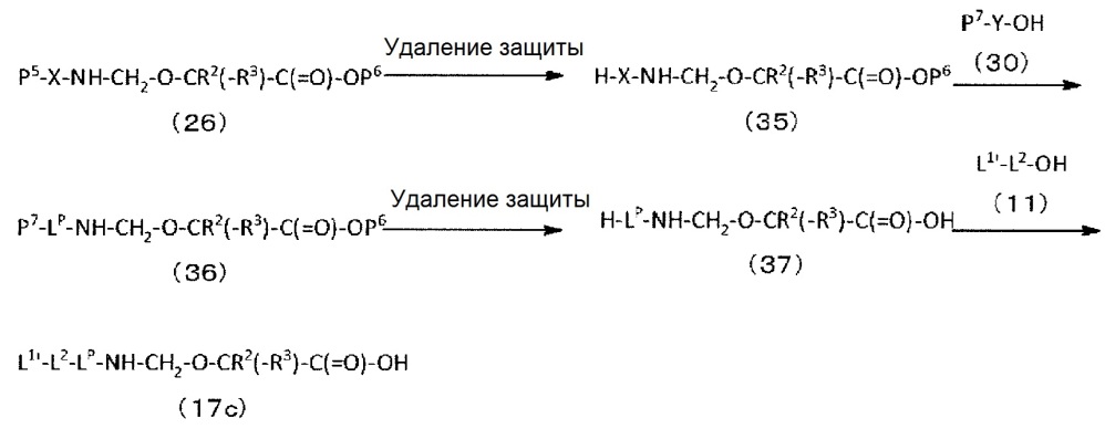 Конъюгат антитело-лекарственное средство (патент 2664465)