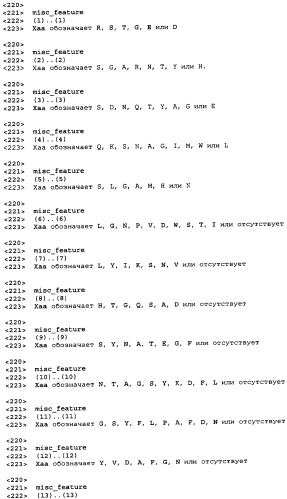 Ангиопоэтин-2-специфические связывающие агенты (патент 2404992)