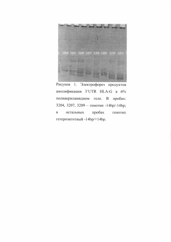 Способ определения антител к аллогенным hla-g (патент 2585091)