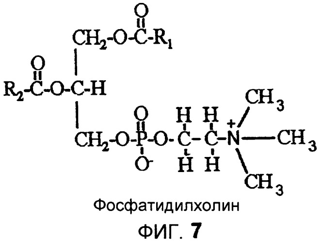 Получение триацилглицеролов из камедей (патент 2456338)