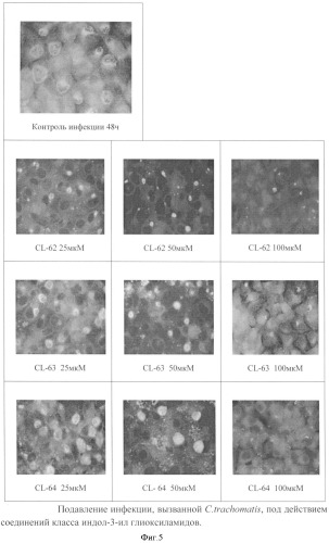 Применение индол-3-ил-глиоксиламидов для подавления хламидийной инфекции (патент 2493259)