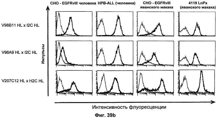 Cd3-эпсилон-связывающий домен с межвидовой специфичностью (патент 2561457)