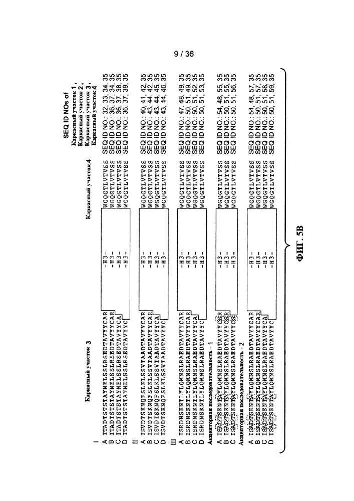 Антитела к jagged и способы их применения (патент 2666990)