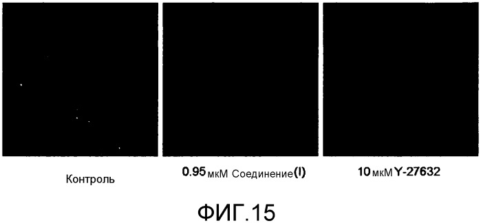 Терапевтический агент (y-39983) против корнеальной эндотелиальной дисфункции (патент 2563141)