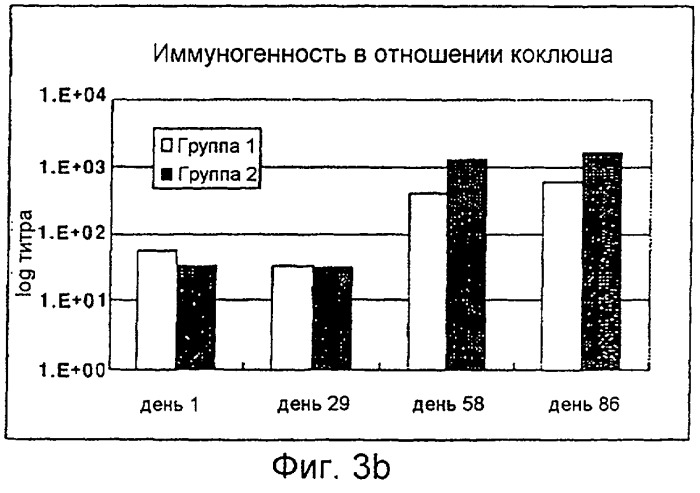 Способ производства комбинированной вакцины (патент 2264226)