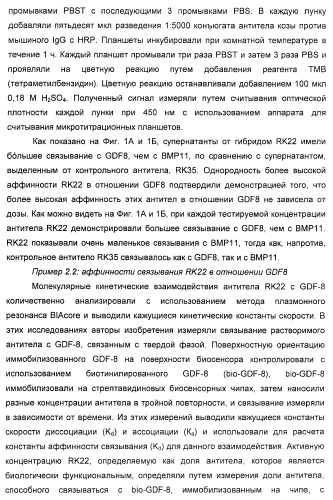 Антитела к gdf8 и их применения (патент 2447084)