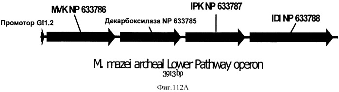 Топливные композиции, содержащие производные изопрена (патент 2531623)