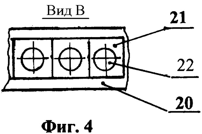 Способ посева амаранта (патент 2335112)