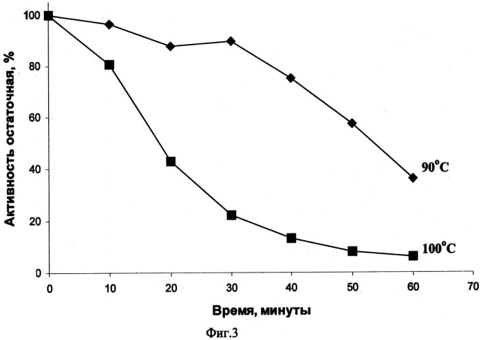 Рекомбинантная двухдоменная лакказа бактерии streptomyces griseoflavus ac-993, обладающая высокой термостабильностью и щелочным оптимумом pн окисления фенольных соединений; фрагмент днк, кодирующий двухдоменную лакказу бактерии streptomyces griseoflavus ac-993; способ получения двухдоменной лакказы бактерии streptomyces griseoflavus ac-993 (патент 2539780)