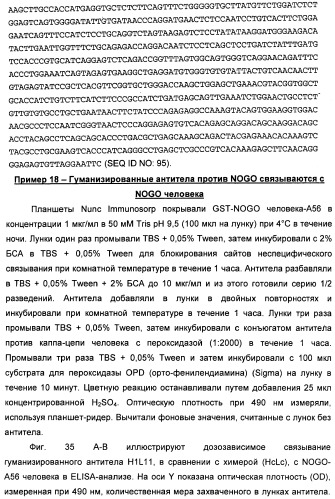 Nogo-a-нейтрализующие иммуноглобулины для лечения неврологических заболеваний (патент 2362780)