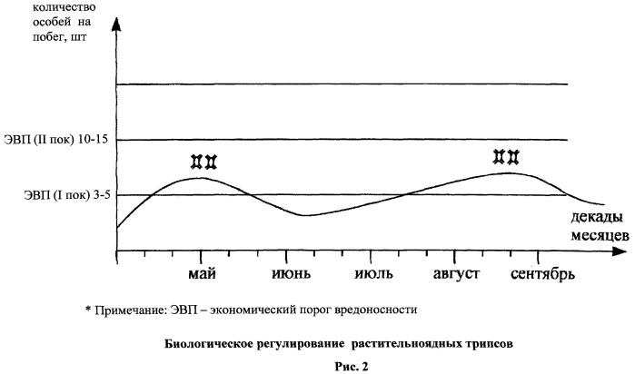 Способ борьбы с насекомыми-вредителями на виноградниках (патент 2448460)