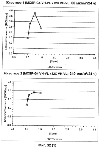 Cd3-эпсилон-связывающий домен с межвидовой специфичностью (патент 2561457)