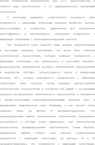 Нацеливание на антигенпрезентирующие клетки иммунонанотерапевтических средств (патент 2497542)