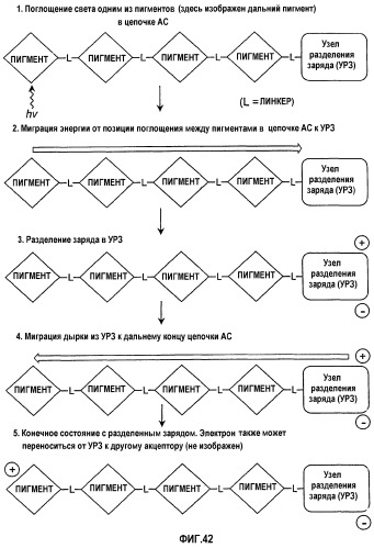 Солнечные элементы, включающие в себя цепочки для аккумуляции света (патент 2264677)