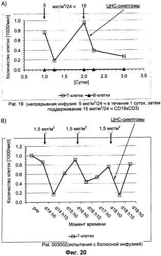 Pscaxcd3, cd19xcd3, c-metxcd3, эндосиалинxcd3, epcamxcd3, igf-1rxcd3 или fap-альфаxcd3 биспецифическое одноцепочечное антитело с межвидовой специфичностью (патент 2547600)