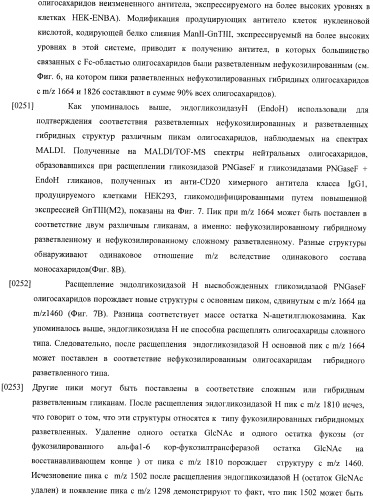 Конструкции слияния и их применение для получения антител с повышенными аффинностью связывания fc-рецептора и эффекторной функцией (патент 2407796)