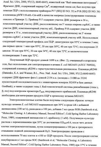 Способ получения l-треонина с использованием бактерии, принадлежащей к роду escherichia, модифицированной таким образом, что в ней нарушена способность к образованию ворсинок типа &quot;керли&quot; (патент 2338782)