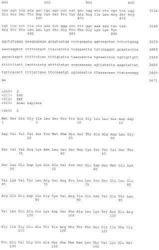 Эпитопные пептиды rab6kifl/kif20a и содержащие их вакцины (патент 2532105)