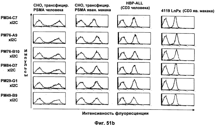 Psma×cd3 биспецифическое одноцепочечное антитело с межвидовой специфичностью (патент 2559531)