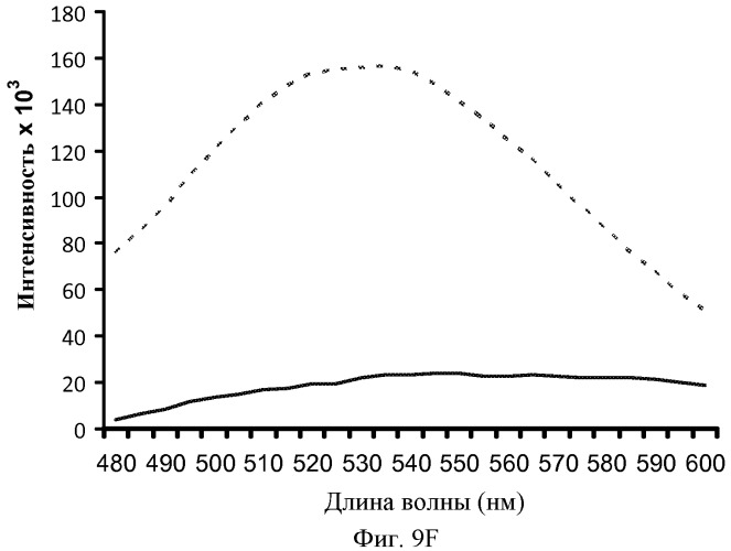 Агенты, связывающиеся с амилоидами (патент 2517174)