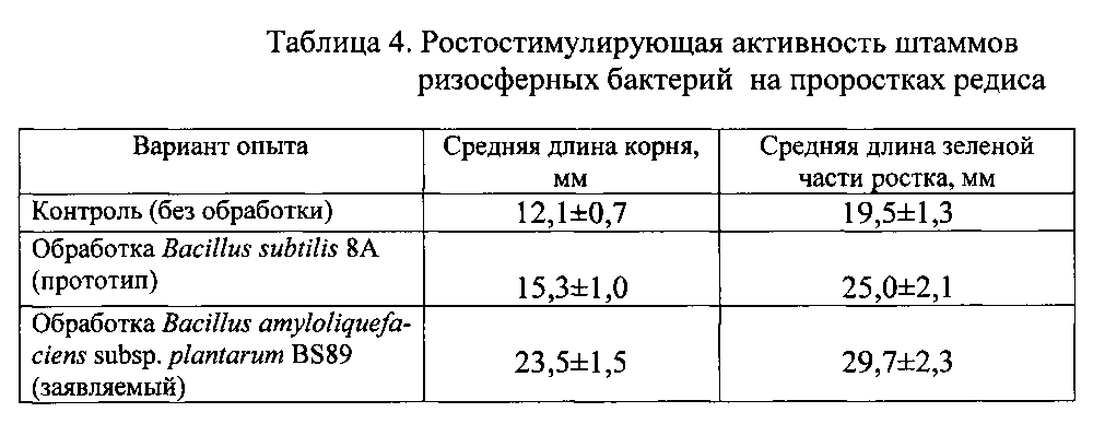 Штамм бактерий bacillus amyloliquefaciens subsp. plantarum bs89 в качестве средства повышения продуктивности растений и их защиты от болезней (патент 2599416)