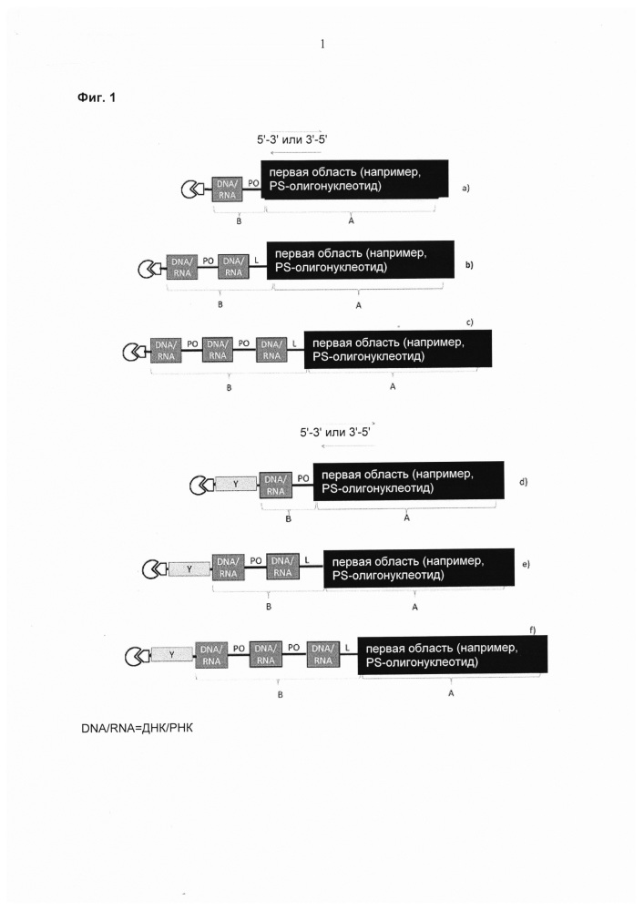 Конъюгаты олигонуклеотидов (патент 2653438)