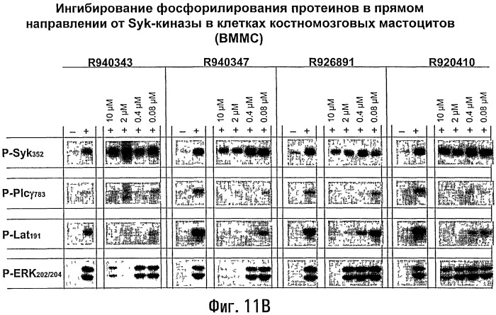 Способы лечения или профилактики аутоиммунных заболеваний с помощью соединений 2,4-пиримидиндиамина (патент 2491071)