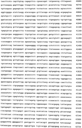 Бактериофаг, обладающий активностью против pseudomonas aeruginosa, белки бактериофага и способы их применения (патент 2580248)