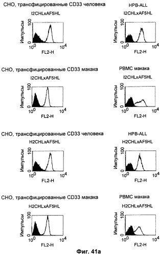 Pscaxcd3, cd19xcd3, c-metxcd3, эндосиалинxcd3, epcamxcd3, igf-1rxcd3 или fap-альфаxcd3 биспецифическое одноцепочечное антитело с межвидовой специфичностью (патент 2547600)