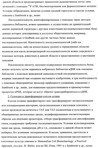 Композиции и способы диагностики и лечения опухоли (патент 2430112)