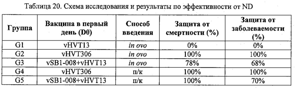 Рекомбинантные векторы hvt, экспрессирующие антигены патогенов птиц и их применение (патент 2620936)