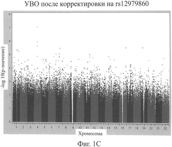 Однонуклеотидные полиморфизмы для прогнозирования результатов лечения заражения вирусом гепатита с (патент 2567663)