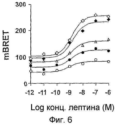 Способ определения лигандов рецептора лептина (патент 2373534)