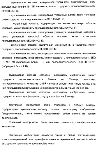 Соединение, предназначенное для стимуляции пути передачи сигнала через il-15rбета/гамма, с целью индуцировать и/или стимулировать активацию и/или пролиферацию il-15rбета/гамма-положительных клеток, таких как nk-и/или t-клетки, нуклеиновая кислота, кодирующая соединение, вектор экспрессии, клетка-хозяин, адъювант для иммунотерапевтической композиции, фармацевтическая композиция и лекарственное средство для лечения состояния или заболевания, при котором желательно повышение активности il-15, способ in vitro индукции и/или стимуляции пролиферации и/или активации il-15rбета/гамма-положительных клеток и способ получения in vitro активированных nk-и/или t-клеток (патент 2454463)