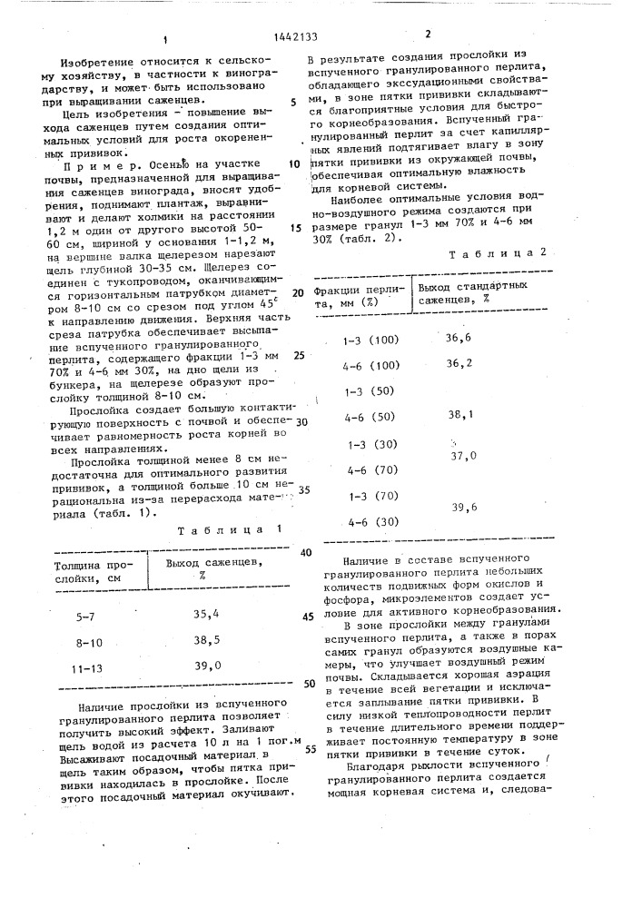 Способ выращивания саженцев винограда в открытом грунте (патент 1442133)