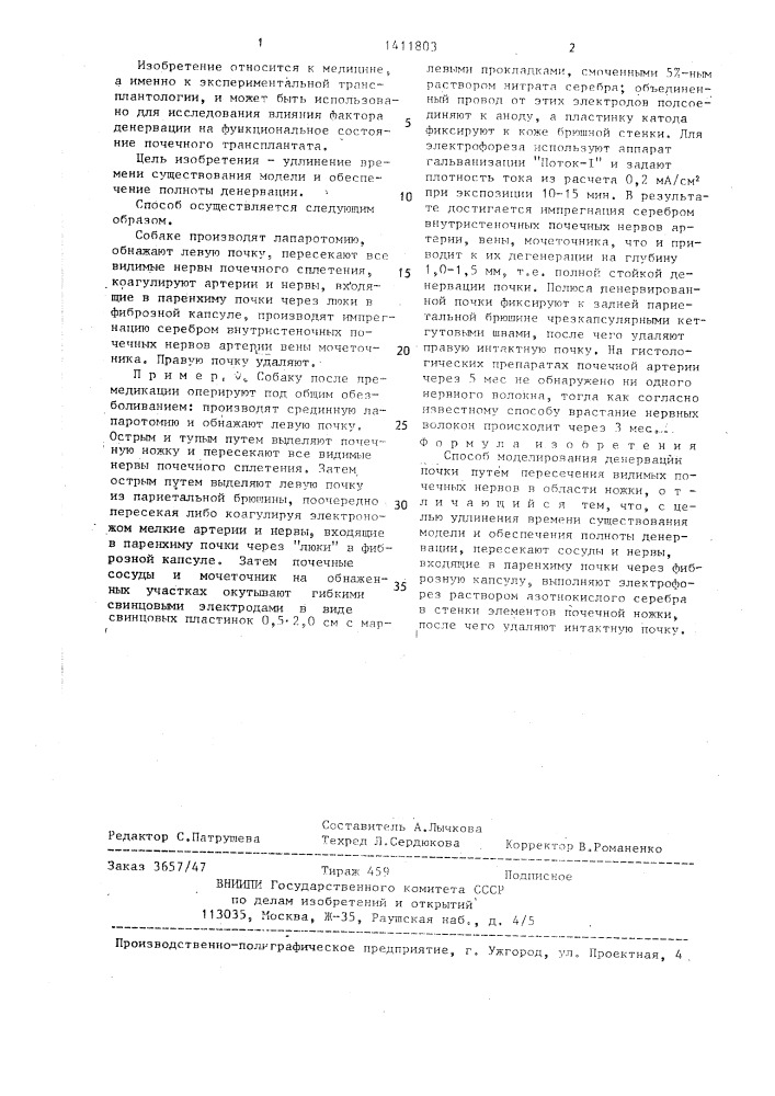 Способ моделирования денервации почки (патент 1411803)