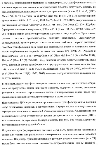 Растения, имеющие улучшенные характеристики роста, и способы их получения (патент 2463352)