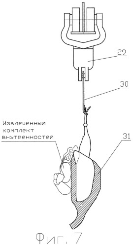 Устройство для извлечения внутренностей из тушек птицы (патент 2547425)