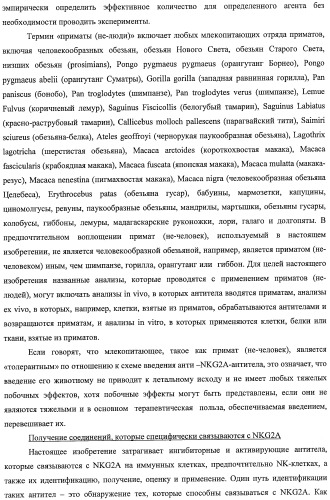 Моноклональные антитела против nkg2a (патент 2481356)