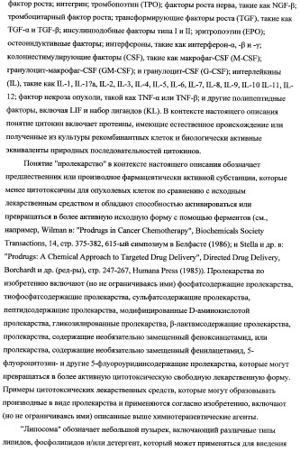 Способ лечения рака у человека (варианты), применяемая в способе форма (варианты) и применение антитела (варианты) (патент 2430739)